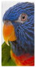 Osuška s potiskem 70x140cm - Barevný papoušek