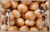  Prostírání na stůl - Cibule
