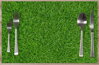 Prostírání na stůl - Grass