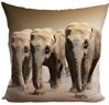 Fotopolštářek s efektem 3D 40x40cm - Stádo slonů