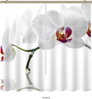 Black out závěsy 3D nebo voálové záclony 3D motiv 7093 Bílá orchidej