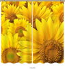 Black out závěsy 3D nebo voálové záclony 3D motiv 7512 Květy slunečnic