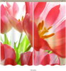 Black out závěsy 3D nebo voálové záclony 3D motiv 7571 Foukané tulipány