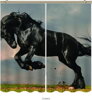 Black out závěsy 3D nebo voálové záclony 3D motiv 7754 Černý kůň