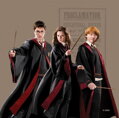  Dětský licenční polštářek 40x40cm Ag-Harry Potter CN226 - 410