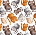  Závěsy dekorační 2x140x250cm - Cats ( kočky )