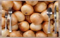  Prostírání na stůl - Cibule