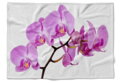 Fleecová fotodeka - Růžová orchidej více rozměrů