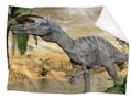 Fleecová fotodeka - Dinosaurus více rozměrů