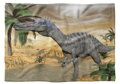 Fleecová fotodeka - Dinosaurus více rozměrů