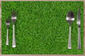 Prostírání na stůl - Grass