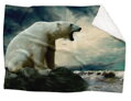 Fleecová fotodeka - Lední medvěd více rozměrů