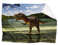 Fleecová fotodeka - Tyrannosaurus více rozměrů