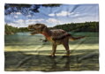 Fleecová fotodeka - Tyrannosaurus více rozměrů