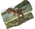 Fleecová fotodeka - Tyrannosaurus více rozměrů