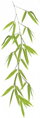 Samolepící dekorativní fólie BAMBOO-2022