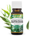 Esenciální oleje - Eukalyptus citriodora 
