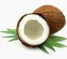 Kokos
