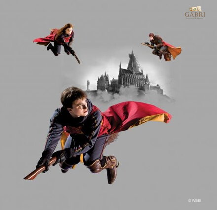 Dětský licenční polštářek 40x40cm Ag-Harry Potter CN227 - 411