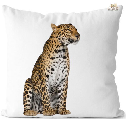  Fotopolštářek s efektem 3D - Sedící gepard