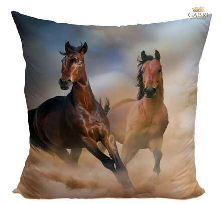 Fotopolštářek 40x40cm s efektem 3D - Koně