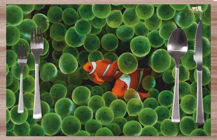 Prostírání na stůl - Rybka ( Nemo )