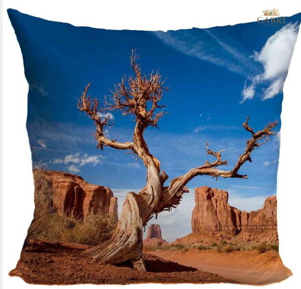 Fotopolštářek 40x40cm s efektem 3D - Poušť