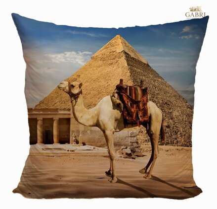 Fotopolštářek s efektem 3D - Velbloud u pyramidy