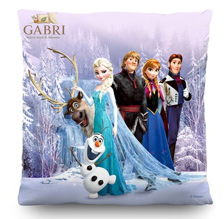 Dětský licenční polštářek 40x40cm Ag-Elza CND 3115