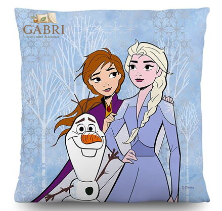 Dětský licenční polštářek 40x40cm Ag-Frozen CND 3130