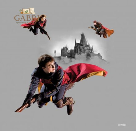 Dětský licenční polštářek 40x40cm Ag-Harry Potter CN227 - 411