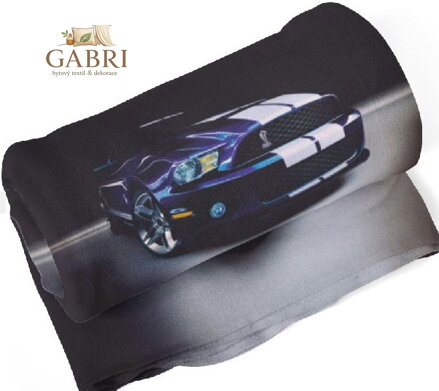 Fleecová fotodeka - Závodní auto více rozměrů