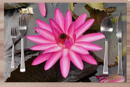 Prostírání na stůl - Leknín