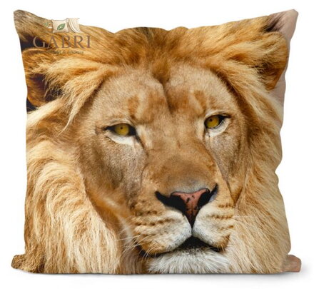 Fotopolštářek s efektem 3D - Lví pohled