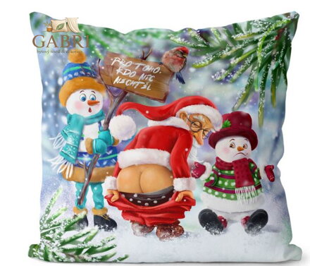 Polštářek s potiskem - Kdo nic nechtěl