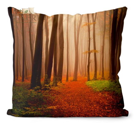 Fotopolštářek s efektem 3D - Les na podzim