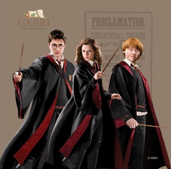  Dětský licenční polštářek 40x40cm Ag-Harry Potter CN226 - 410