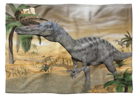 Fleecová fotodeka - Dinosaurus více rozměrů