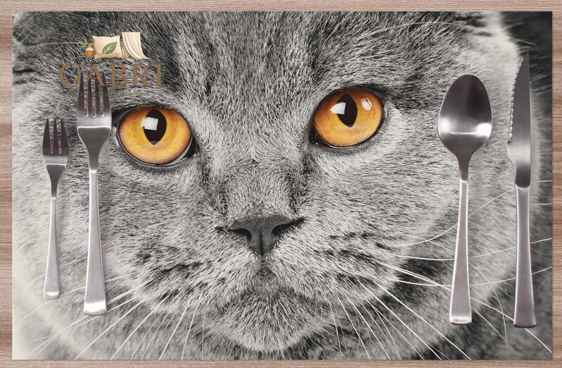  Prostírání na stůl - Kočičí pohled