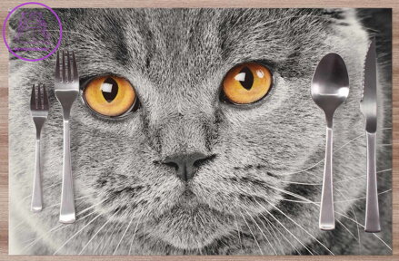  Prostírání na stůl - Kočičí pohled