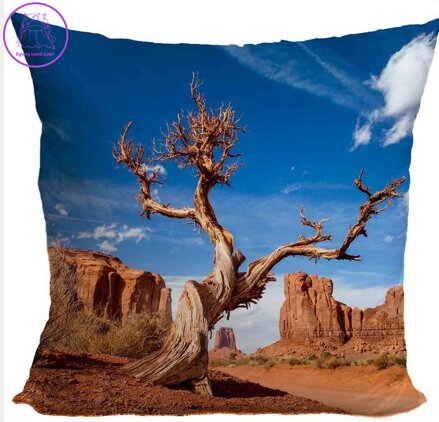 Fotopolštářek 40x40cm s efektem 3D - Poušť