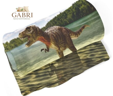 Fleecová fotodeka - Tyrannosaurus více rozměrů
