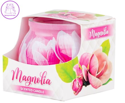 Sklo Dekor vonná svíčka 80 x 72 mm - Magnolie ( 32263 )