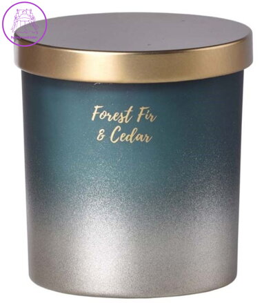Emocio sklo 80x90 mm s plechovým víčkem vonná svíčka, v dárkové krabičce Forest Fir & Cedar ( 36394 )