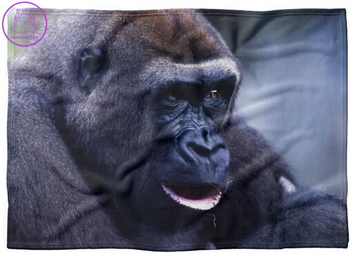 Fleecová fotodeka - Gorila více rozměrů