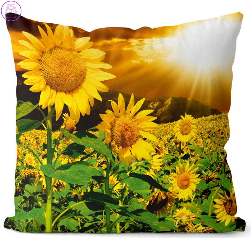  Fotopolštářek s 3D efektem - Slunečnicové pole