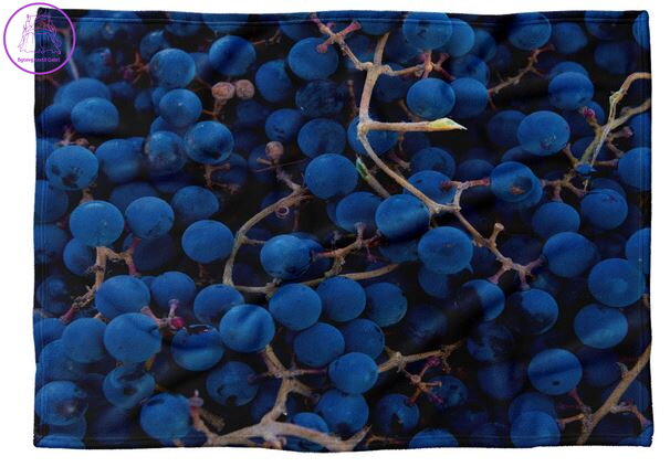 Fleecová fotodeka - Hroznové víno více rozměrů