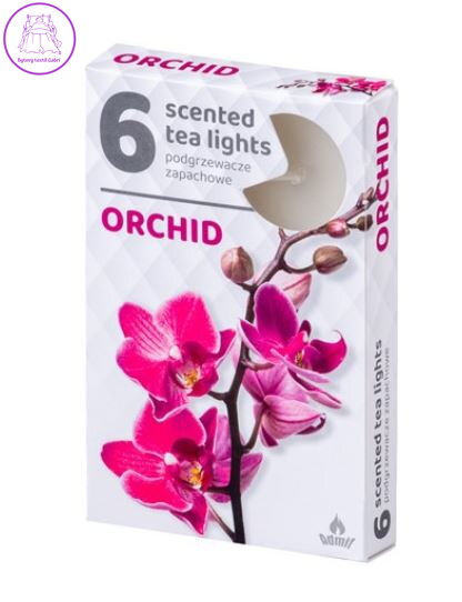 Vonné čajové svíčky 6ks - Orchid ( 22589 )
