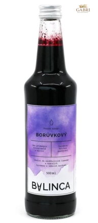Ovocný sirup - Borůvkový 500ml