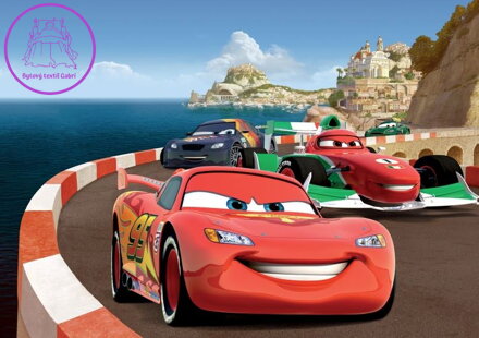 Dětská papírová fototapeta 156x112cm - FTDSS 1952 Disney Cars-2022